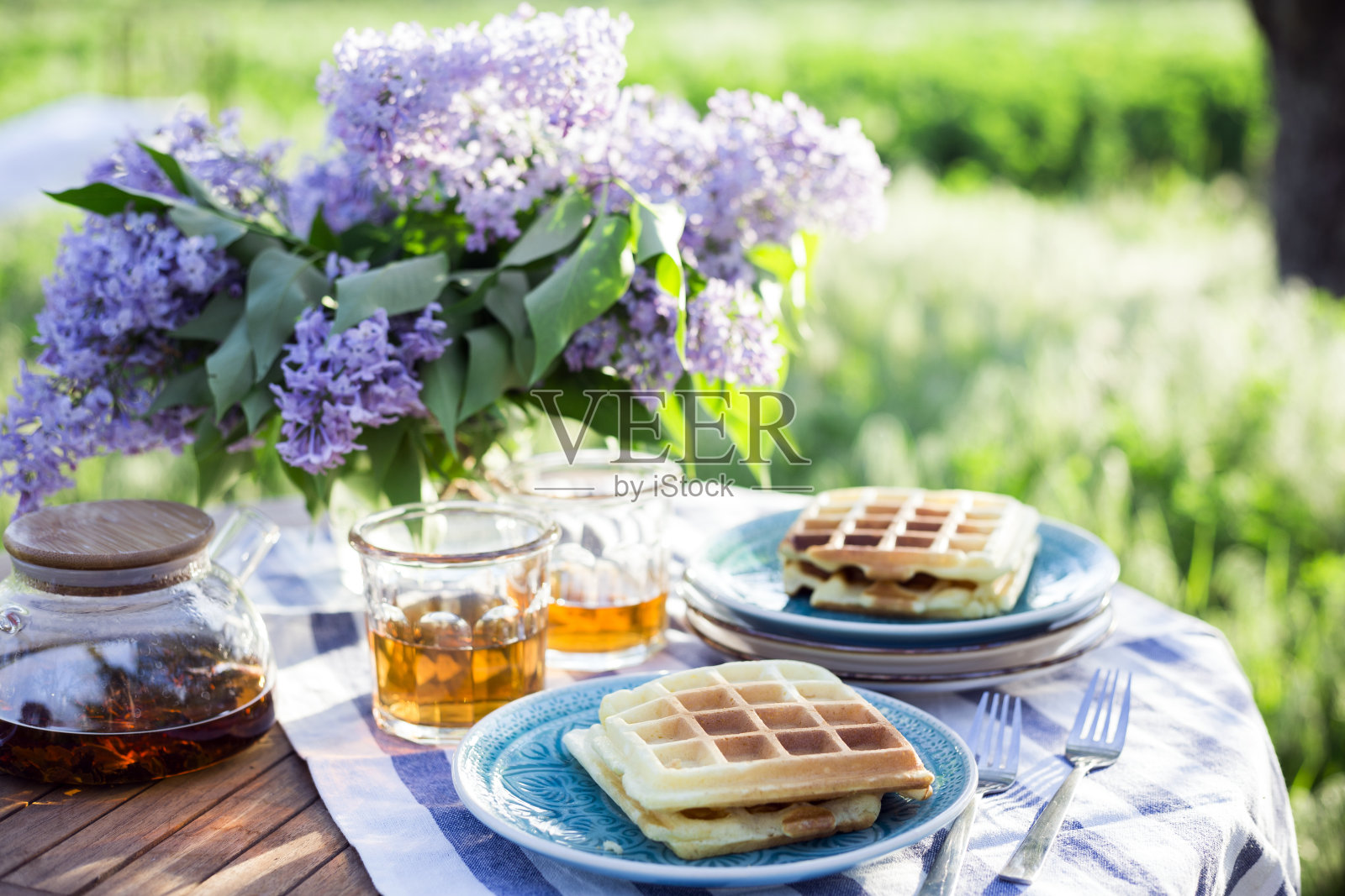 在花园里吃早餐照片摄影图片