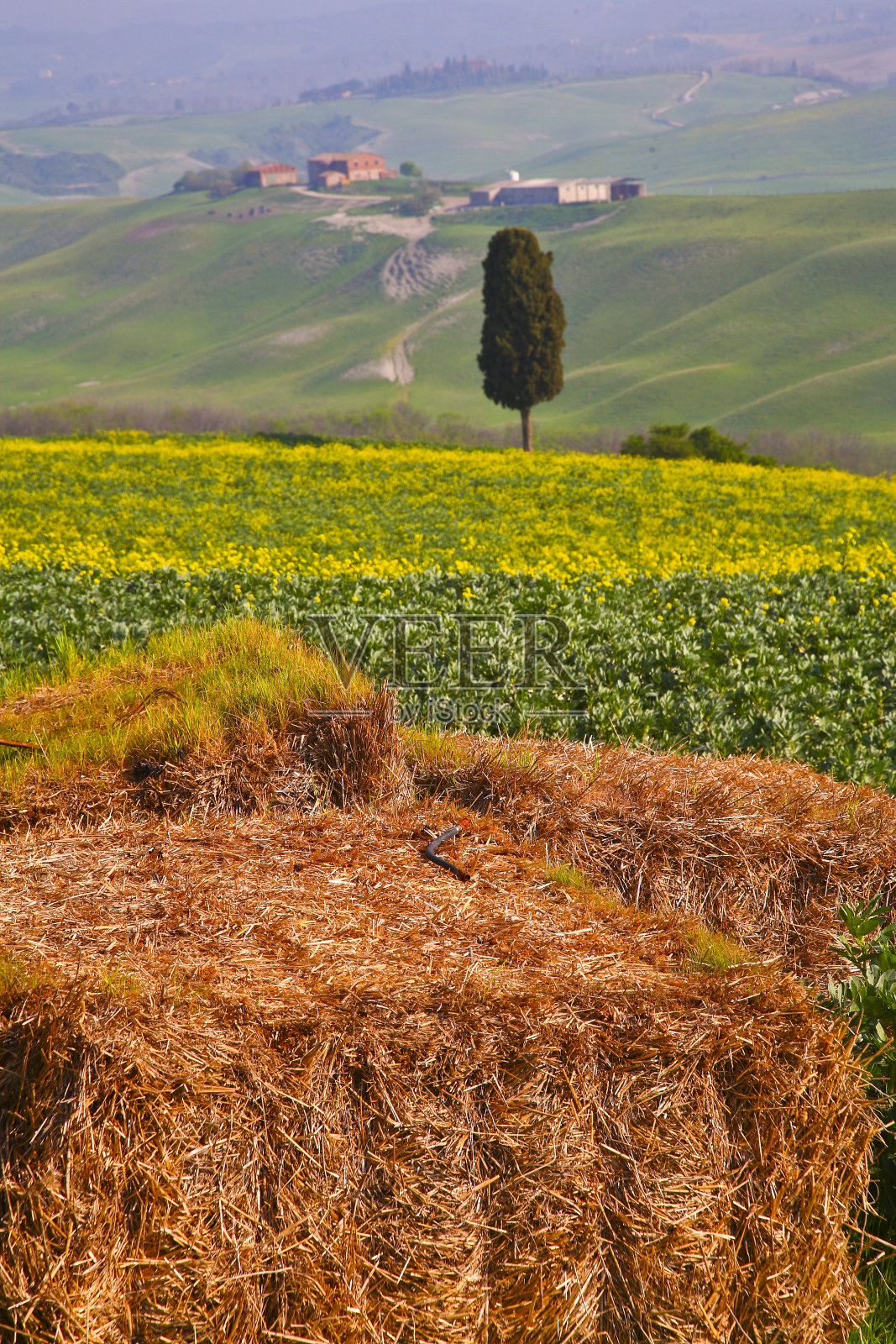 锡耶纳省的克里特塞内斯风光，托斯卡纳照片摄影图片