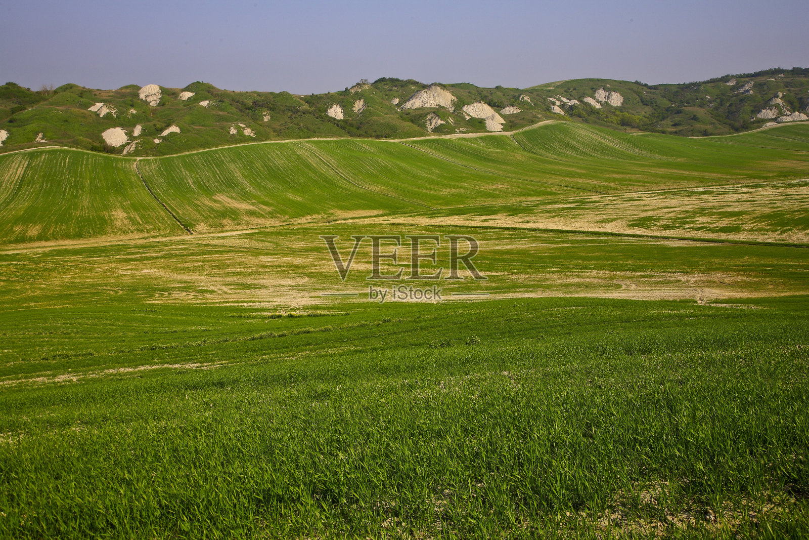 锡耶纳省的克里特塞内斯风光，托斯卡纳照片摄影图片
