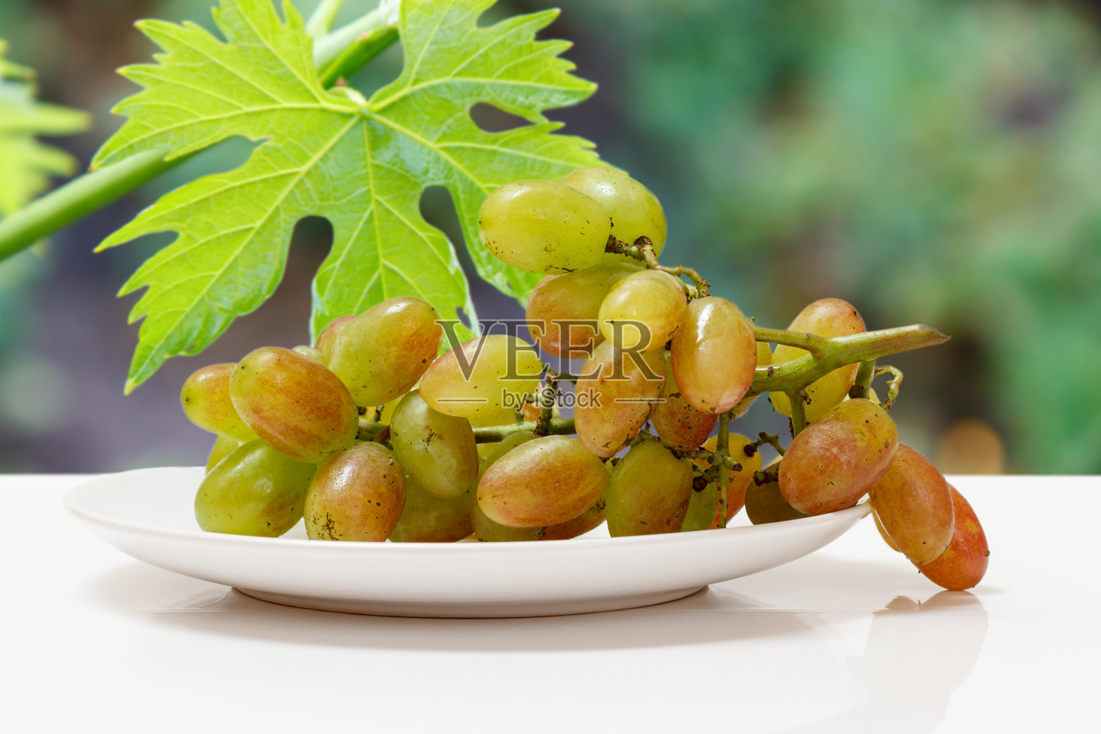 一串绿葡萄放在白色的盘子里。照片摄影图片