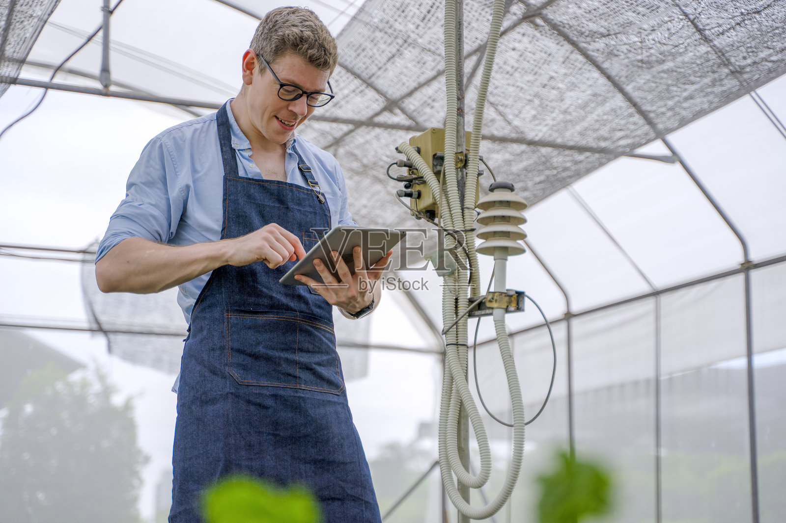 一个年轻人在有机农场工作。种植蔬菜。照片摄影图片