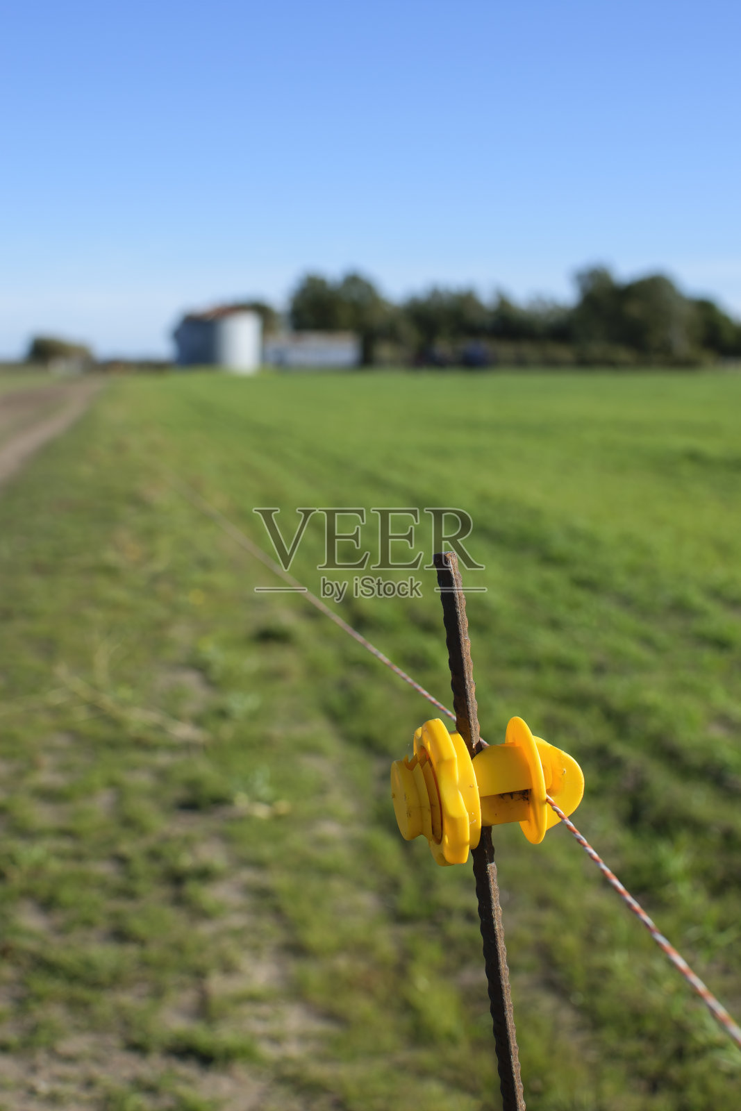 农用电气化围栏用黄色塑料绝缘子，安装在田间的铁棒上。照片摄影图片