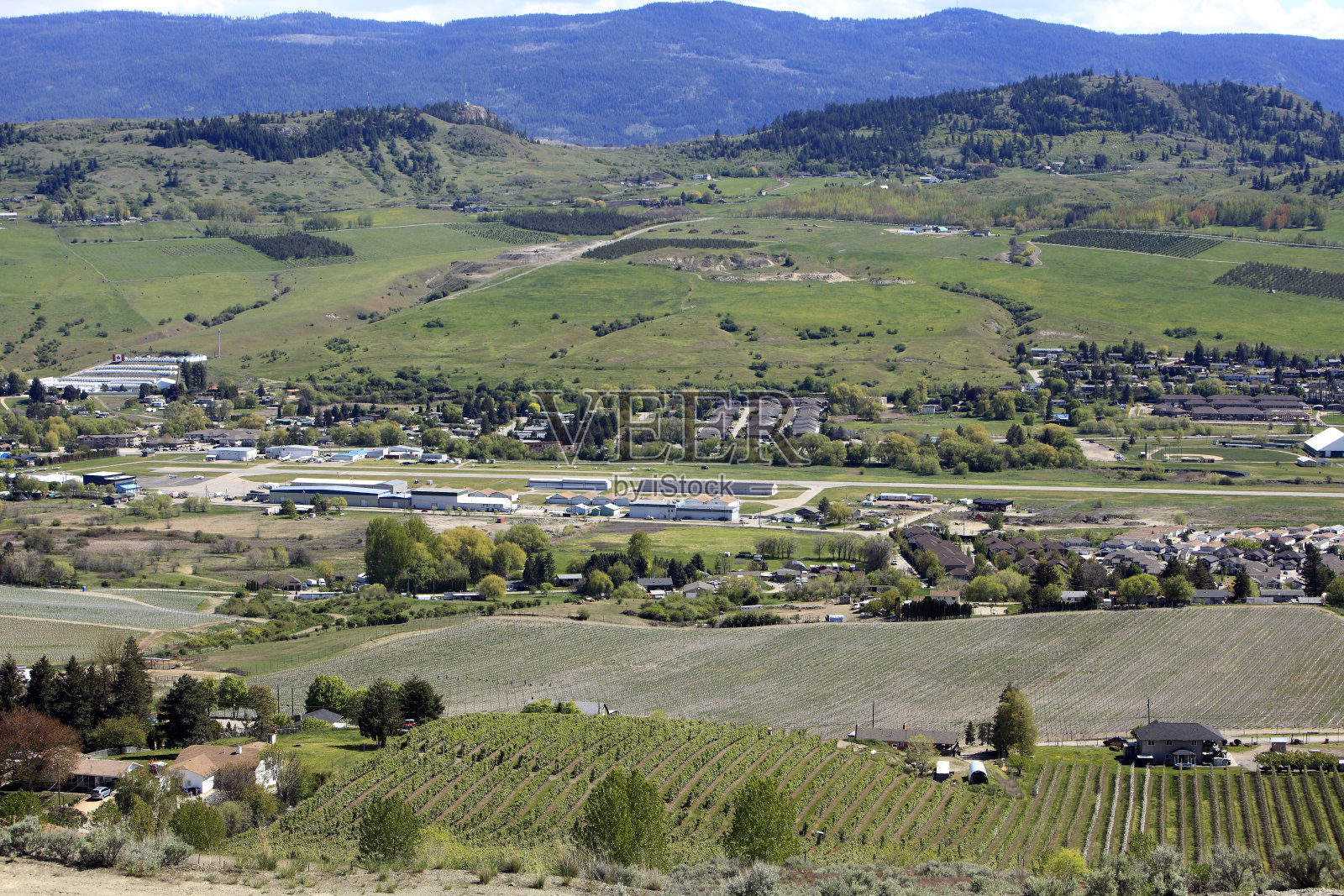 位于葡萄园、果园和树木农场之间的小型地方机场照片摄影图片