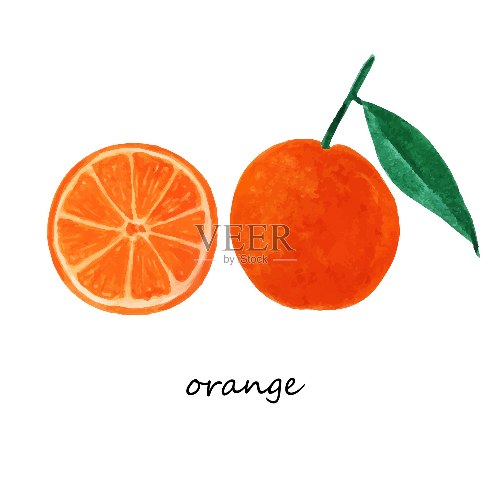 一套手绘水彩整体和切橙插画图片素材