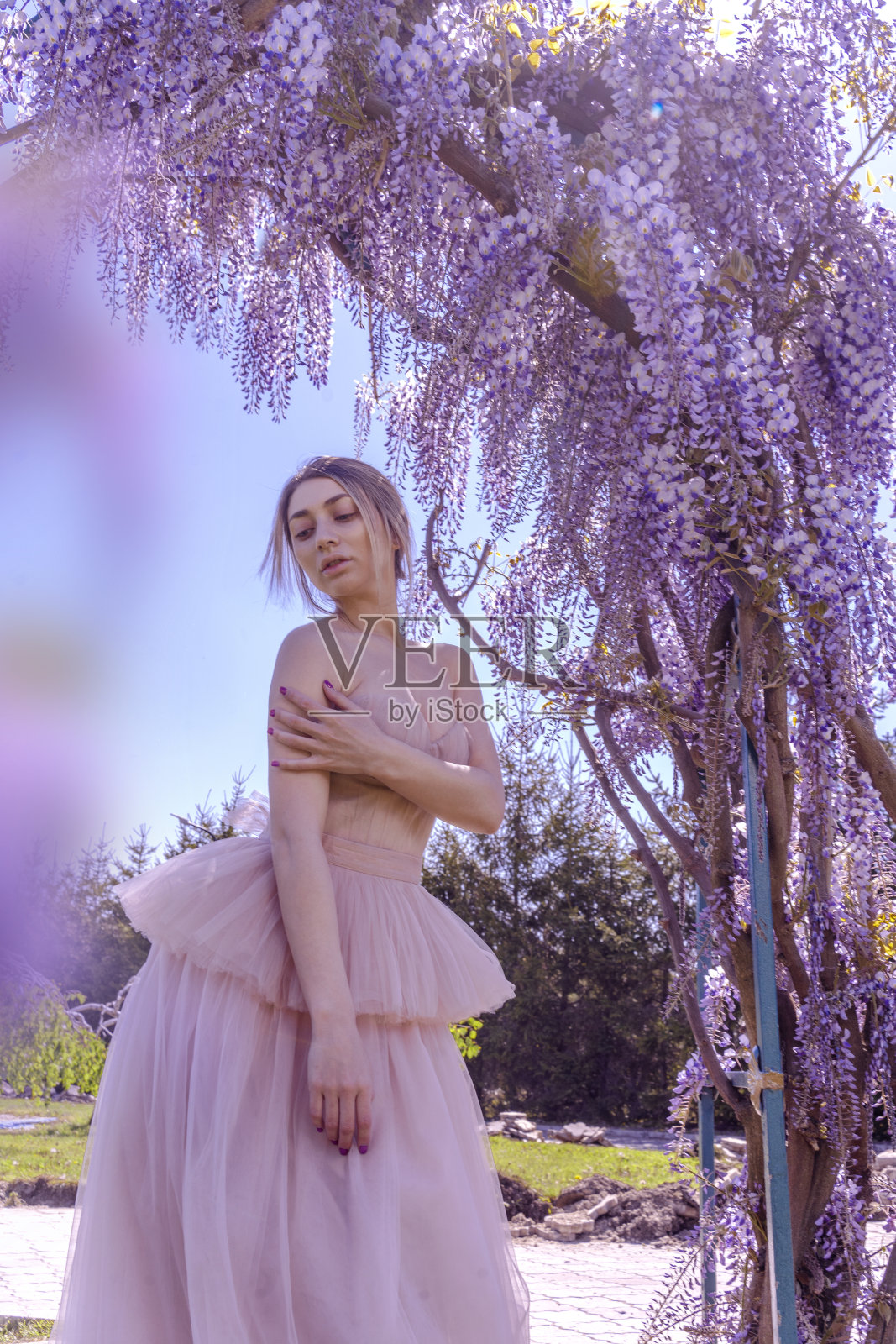 美丽的女人在紫藤拍照照片摄影图片