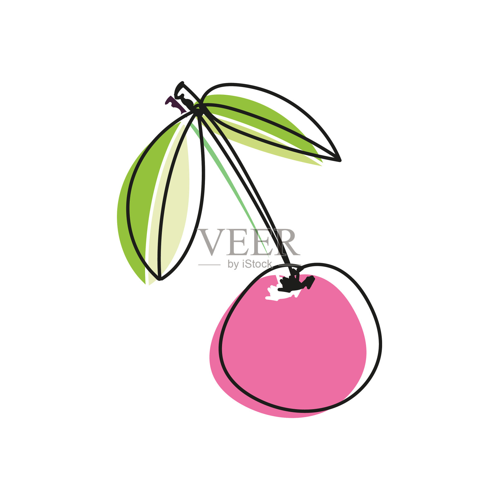 樱桃或甜樱桃设计元素图片