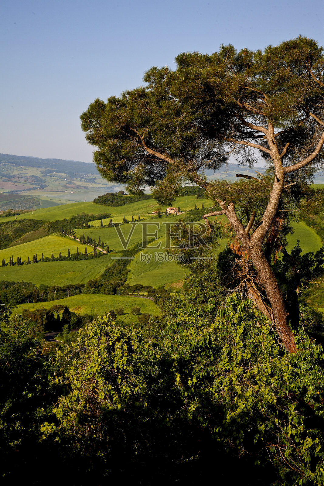 托斯卡纳。多西亚山谷的春景。意大利照片摄影图片