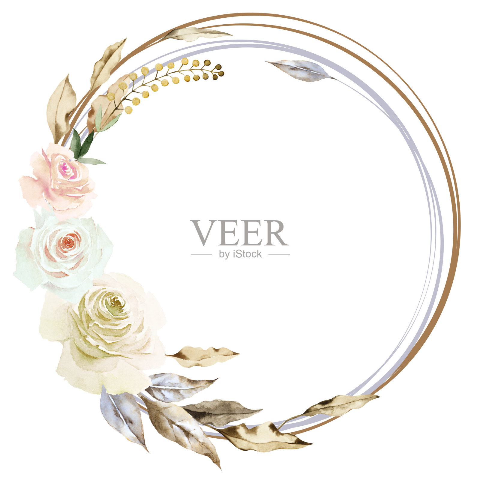 圆的花框架精致的白色玫瑰与棕色的叶子和草本孤立在白色的背景。手画水彩。副本的空间。插画图片素材