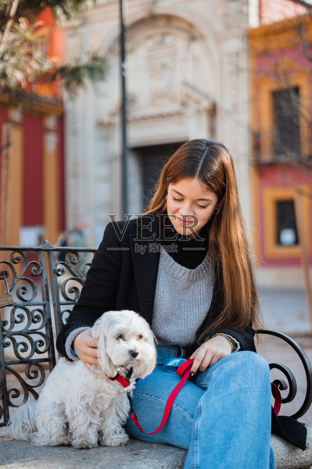 少年和她的狗坐在长椅上照片摄影图片