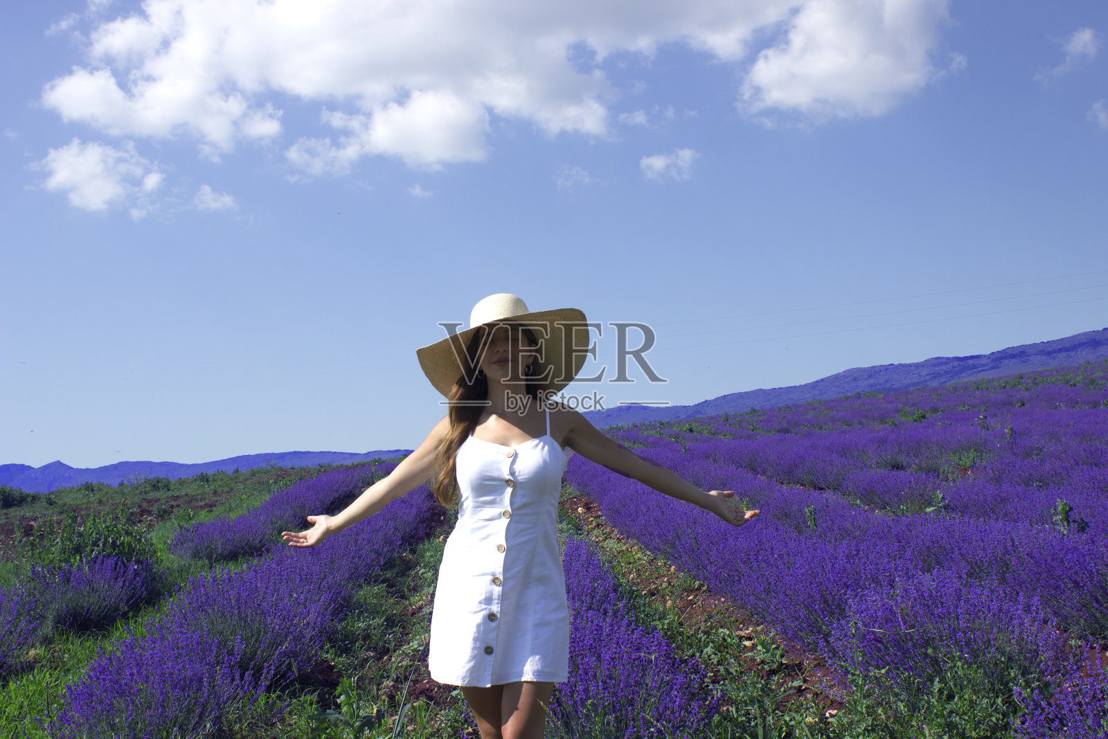 薰衣草田里的女孩照片摄影图片