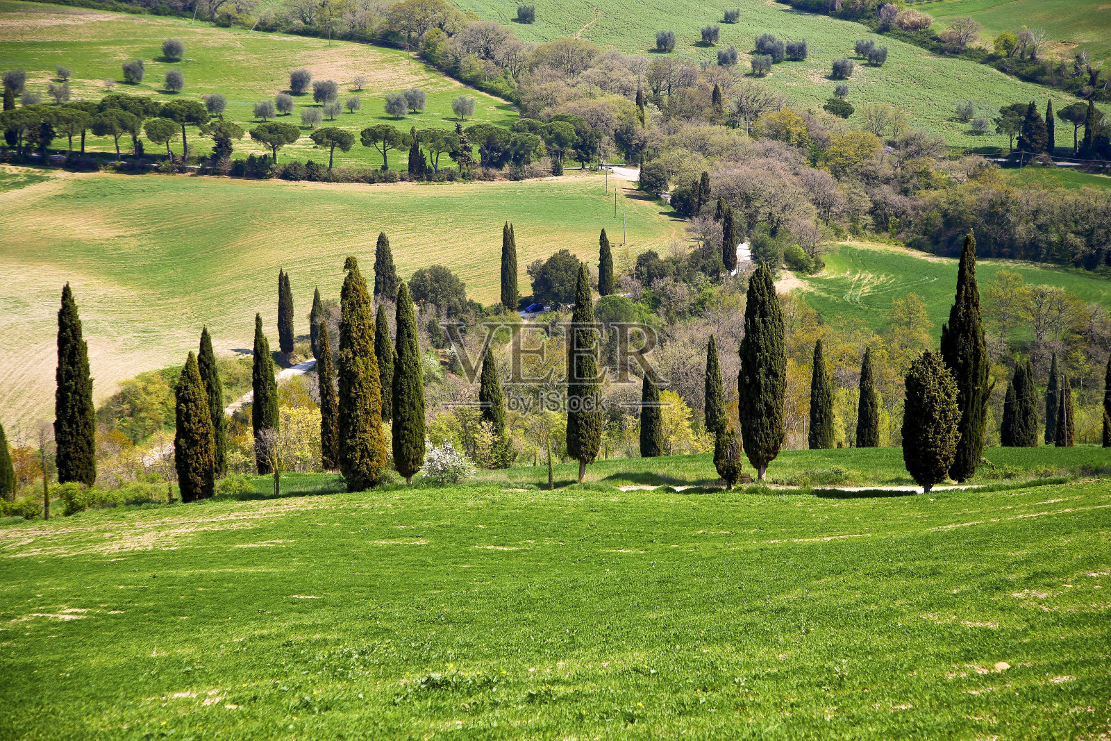 多西亚山谷的春景。意大利照片摄影图片
