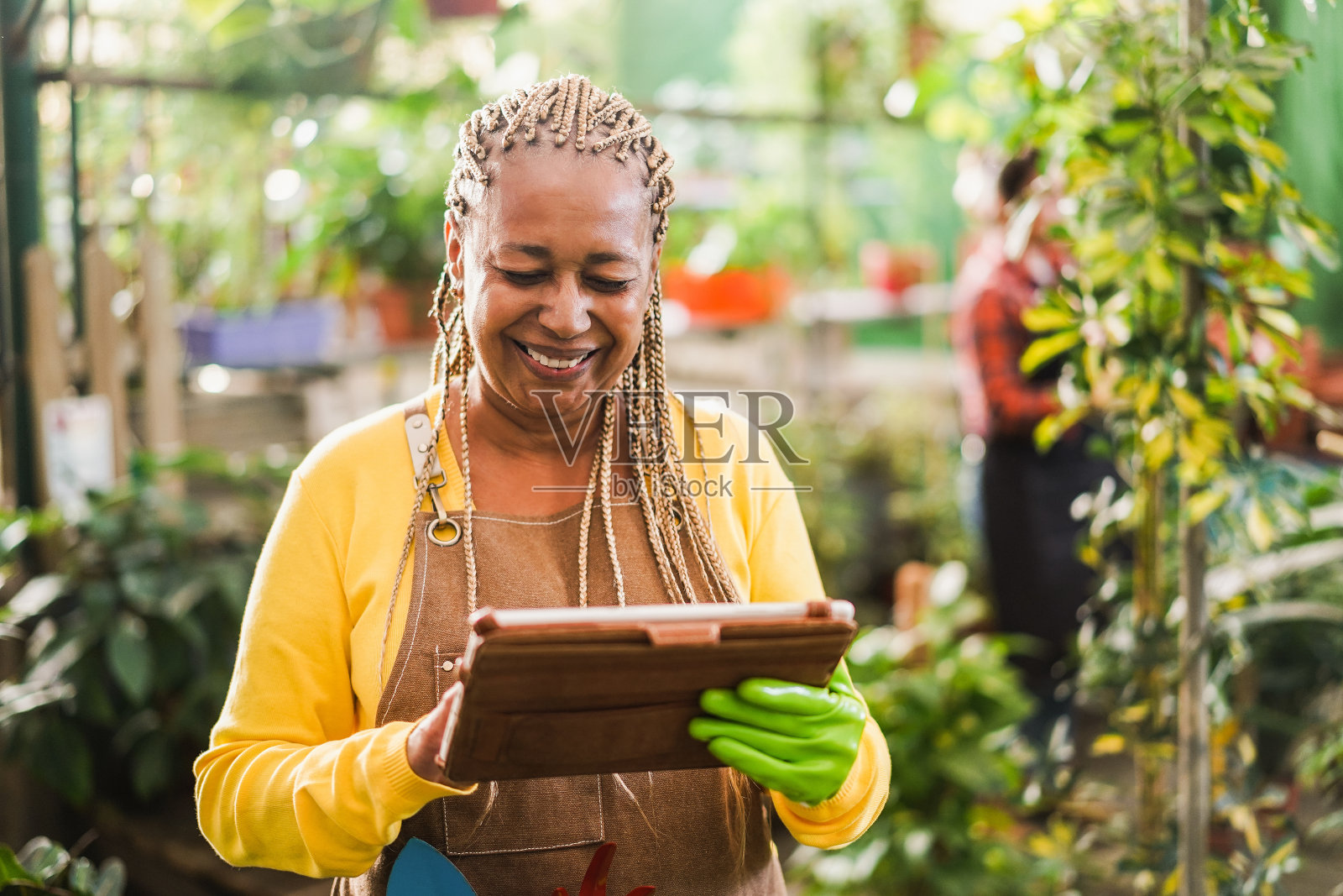 非洲妇女工作在温室花园-苗圃和春天的概念-关注的脸照片摄影图片