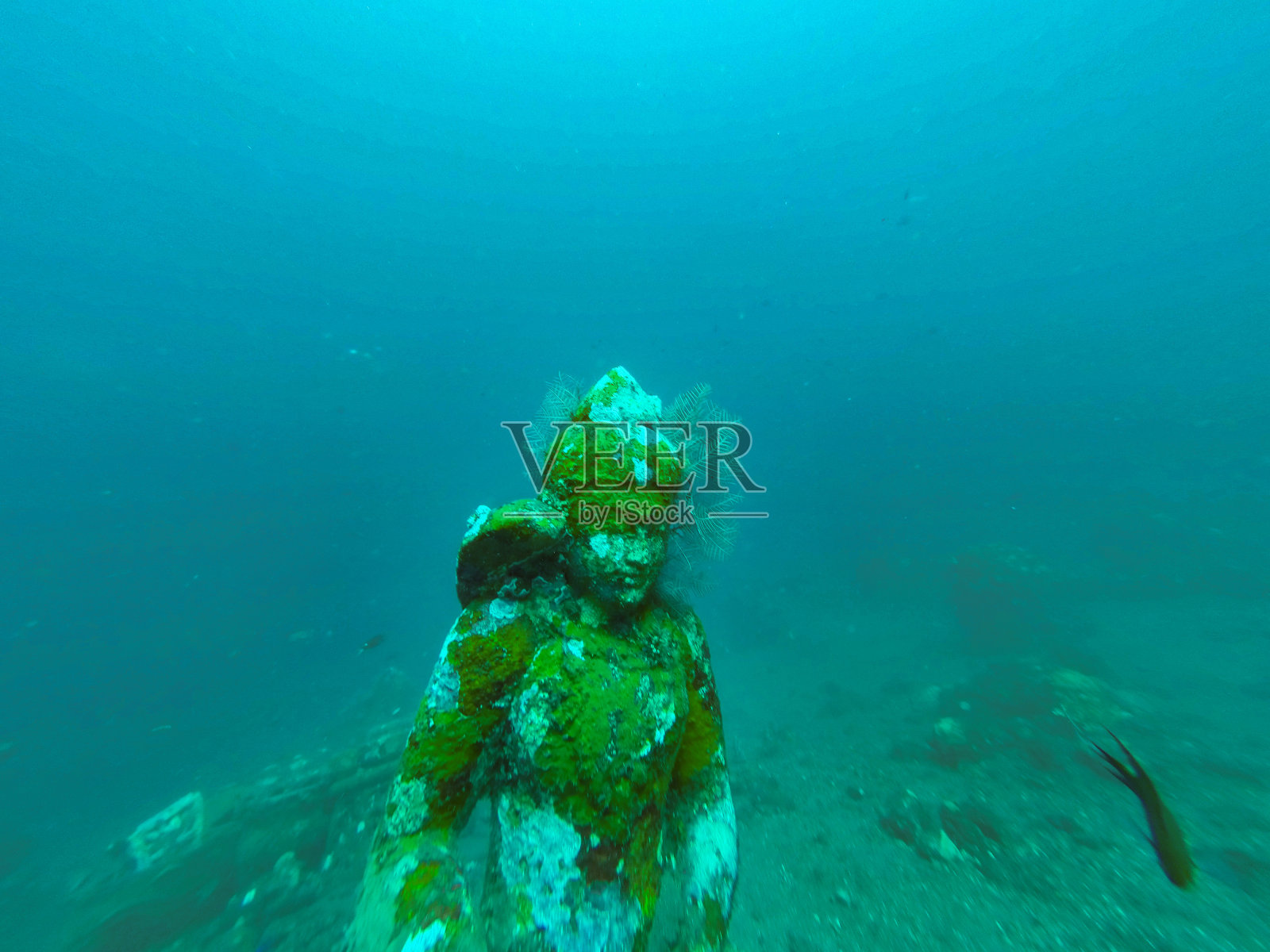 巴厘岛的水下雕像照片摄影图片
