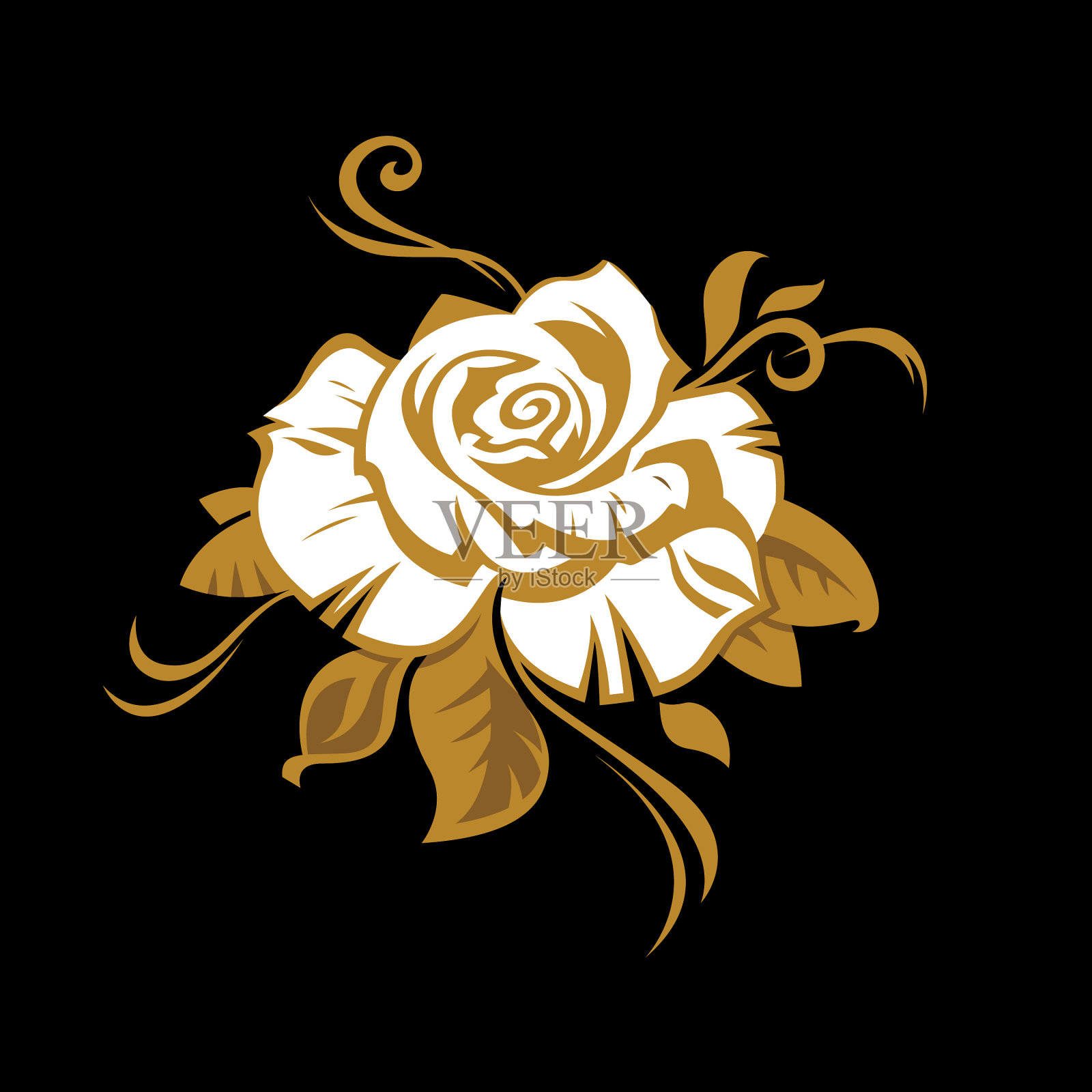 玫瑰花蕾的形象插画图片素材