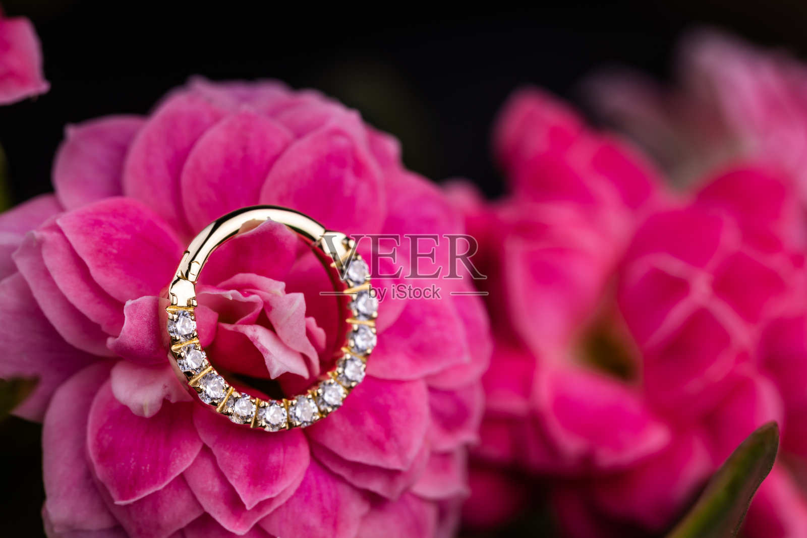 美丽的穿刺饰品。照片摄影图片