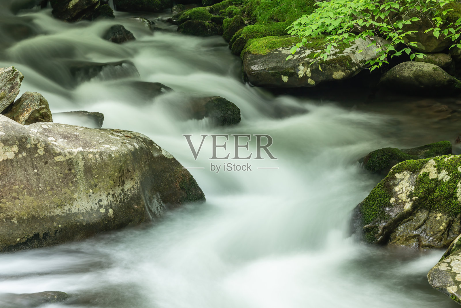 春天奥科纳鲁菲特河急流照片摄影图片