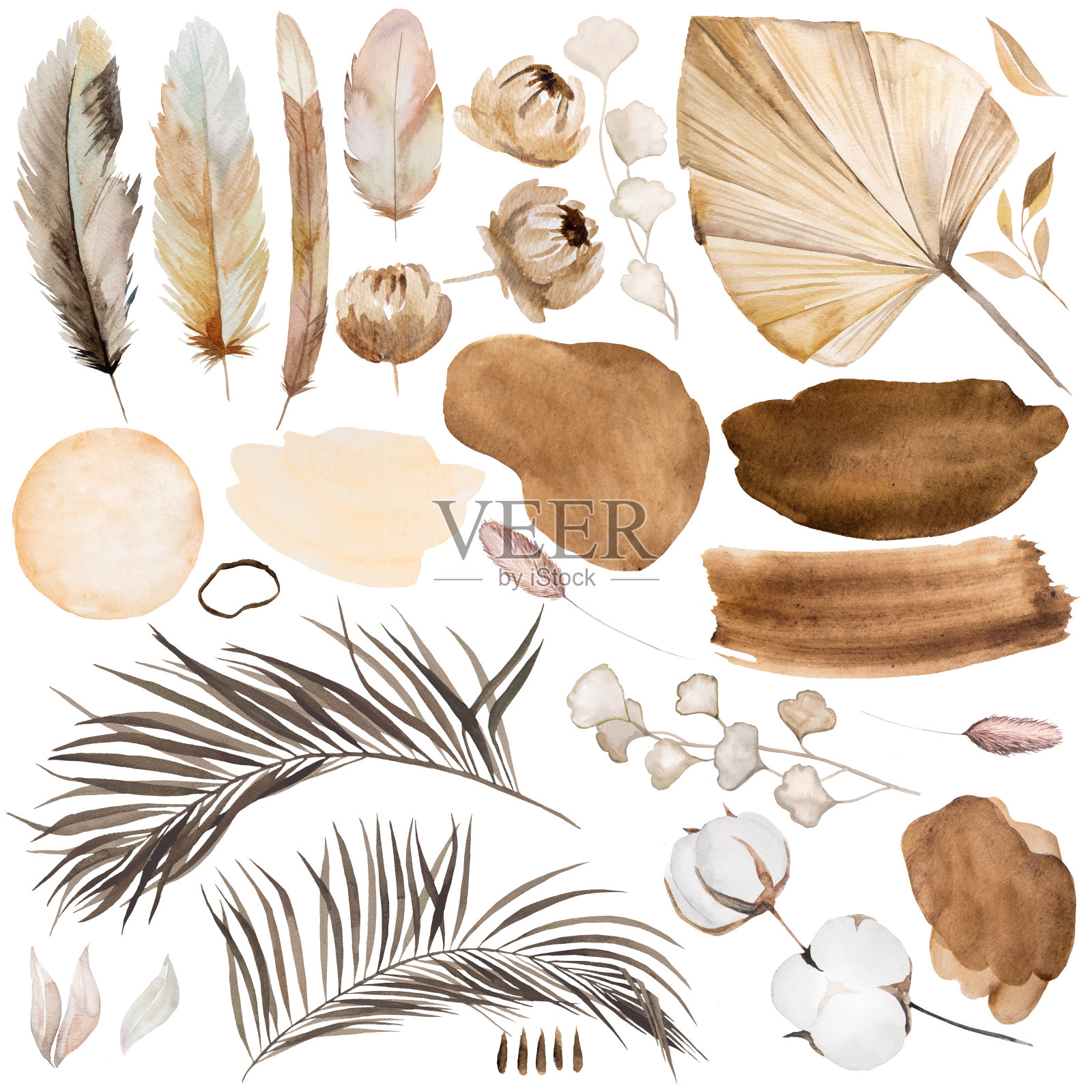 水彩波西米亚元素-干叶，羽毛，草原草和热带花卉插画图片素材