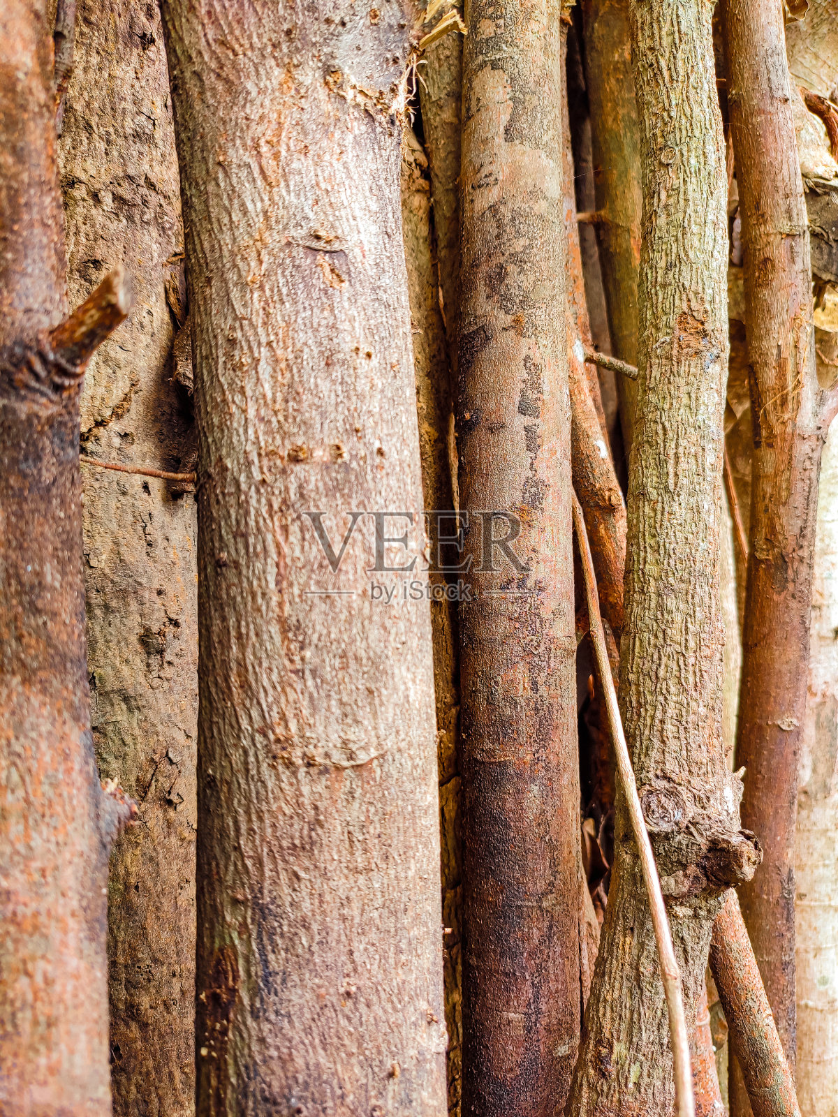 木柴照片摄影图片