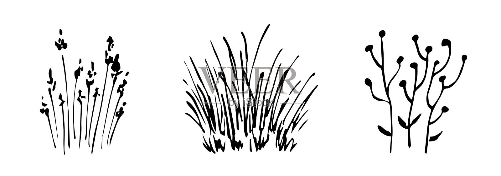 简单的黑色轮廓矢量绘图。草图在墨水。野花，野草，灌木，野草。性质和植被。景观元素。插画图片素材