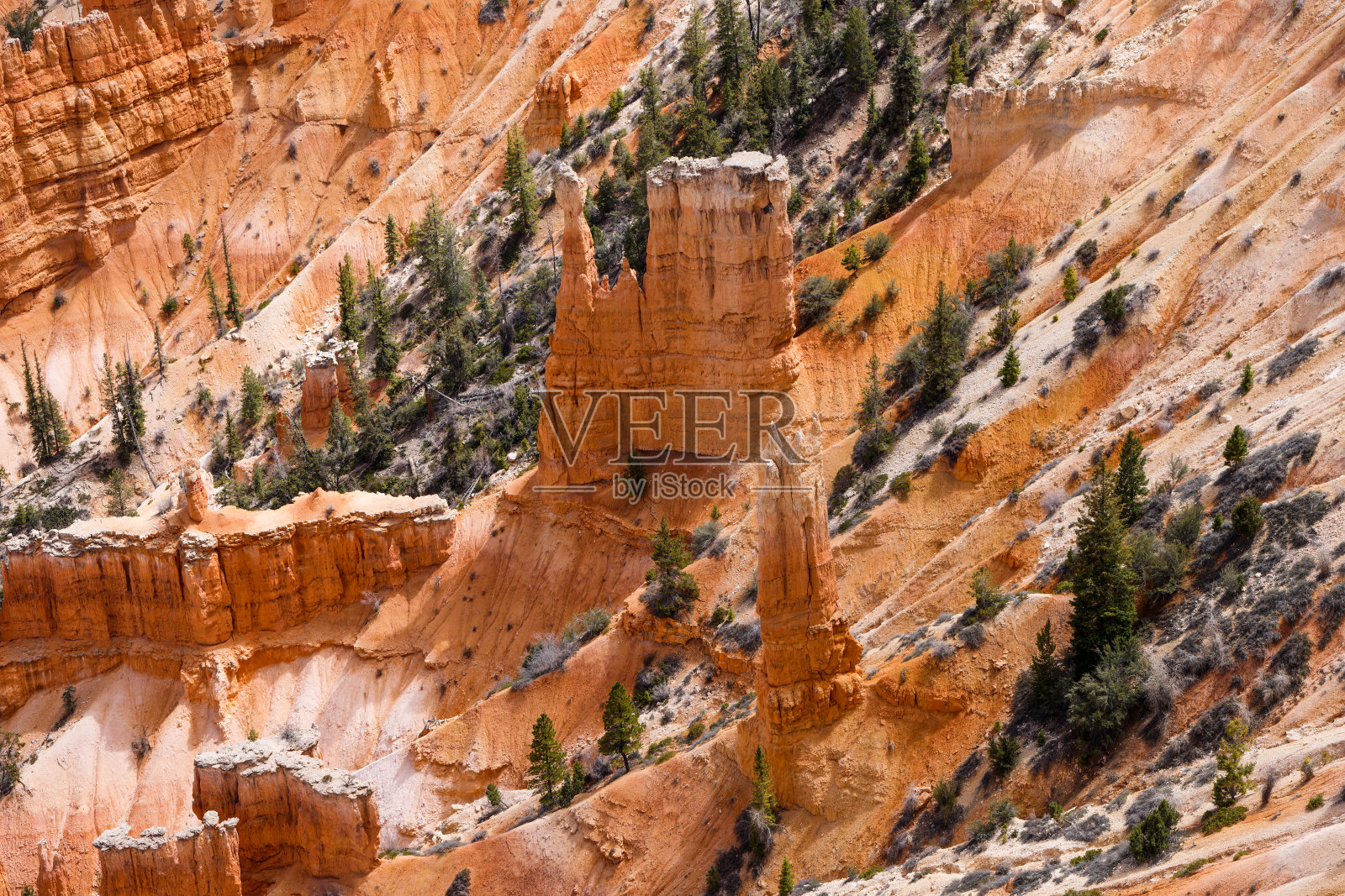 胡毒巫术的城堡照片摄影图片