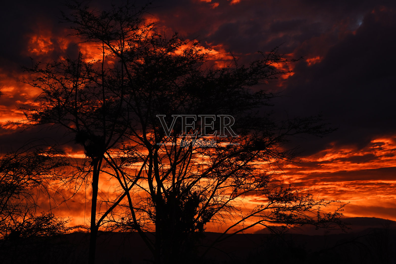 开普敦旅游人数增加照片摄影图片