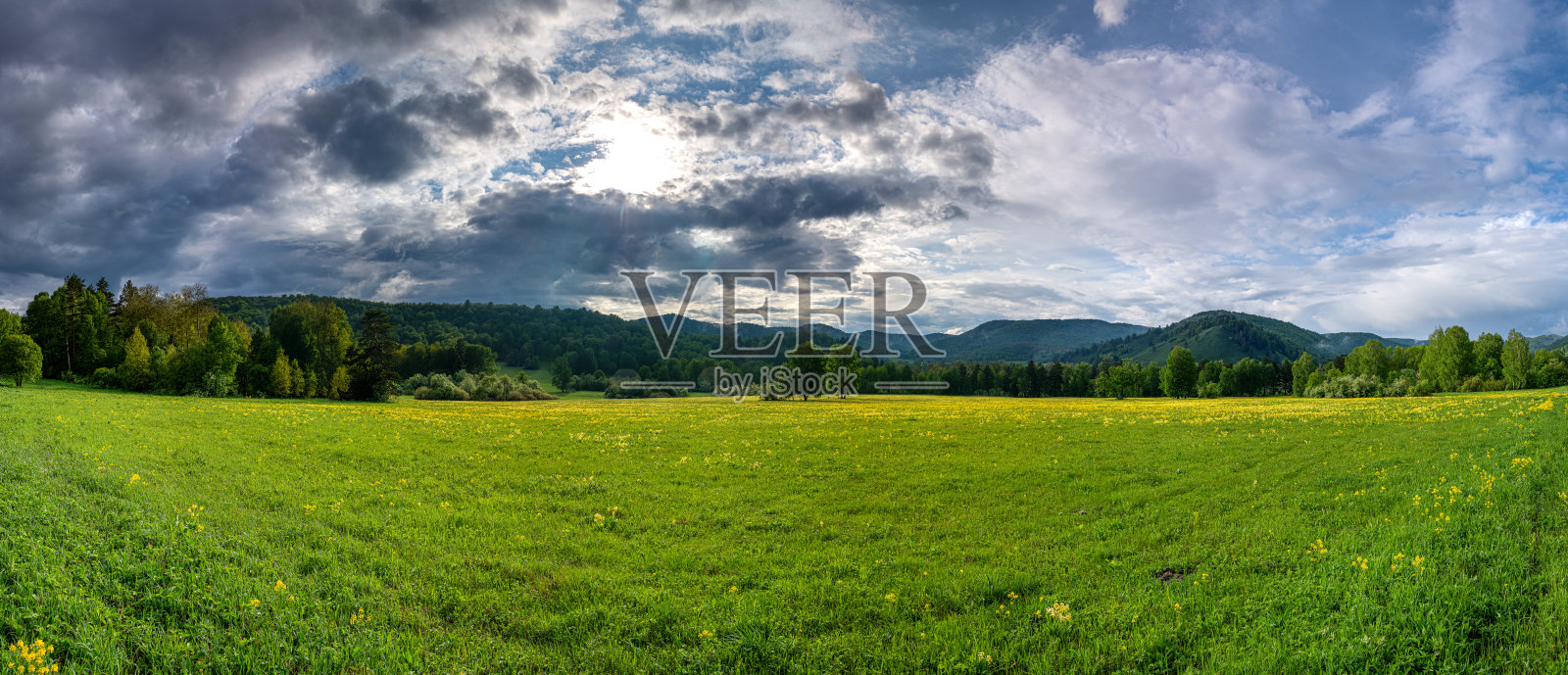 乌拉尔南部，夏天的乌拉尔山脉。盛开的高山草甸。照片摄影图片