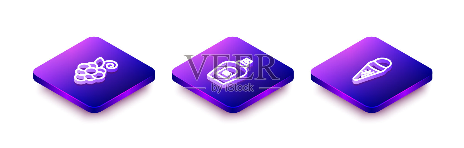 设置等距线葡萄柚香水和冰图标素材