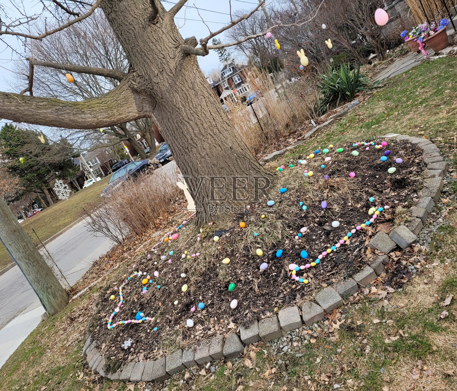 花园蛋照片摄影图片