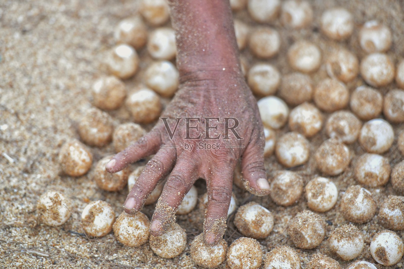 对象和性质照片摄影图片