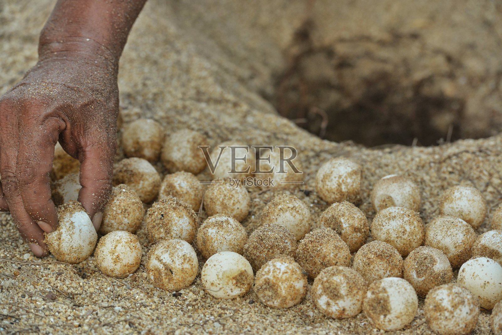 对象和性质照片摄影图片