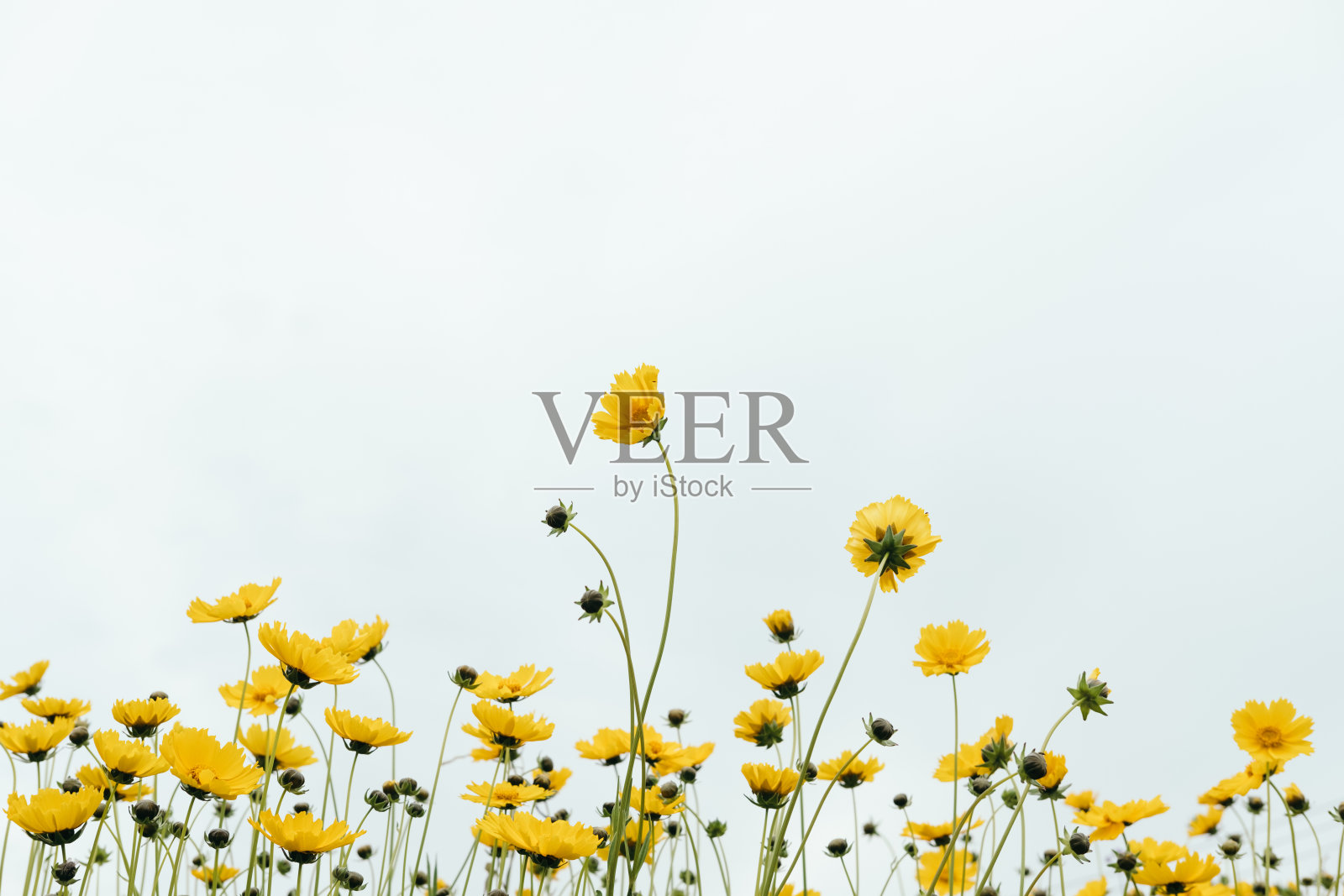 宇宙照片摄影图片