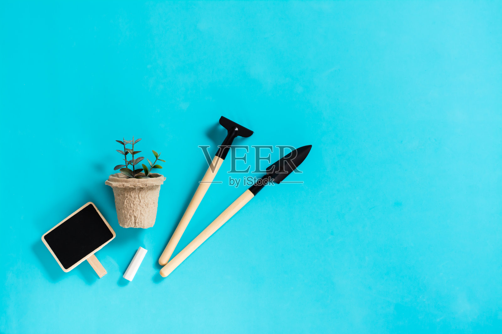 盆栽豆芽，园艺工具和蓝色背景上的写字板。照片摄影图片