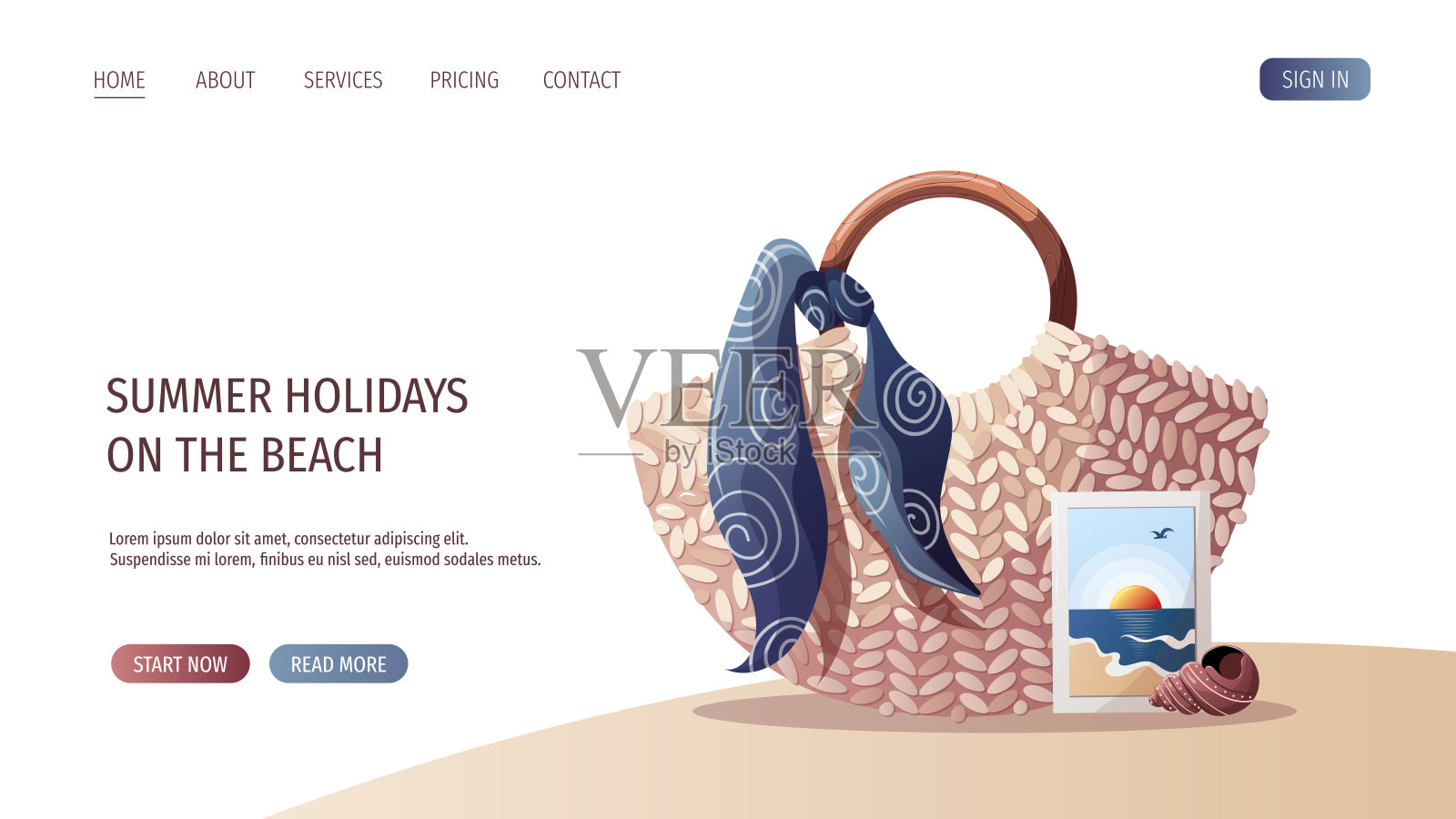 藤袋，海滩摄影和贝壳。插画图片素材