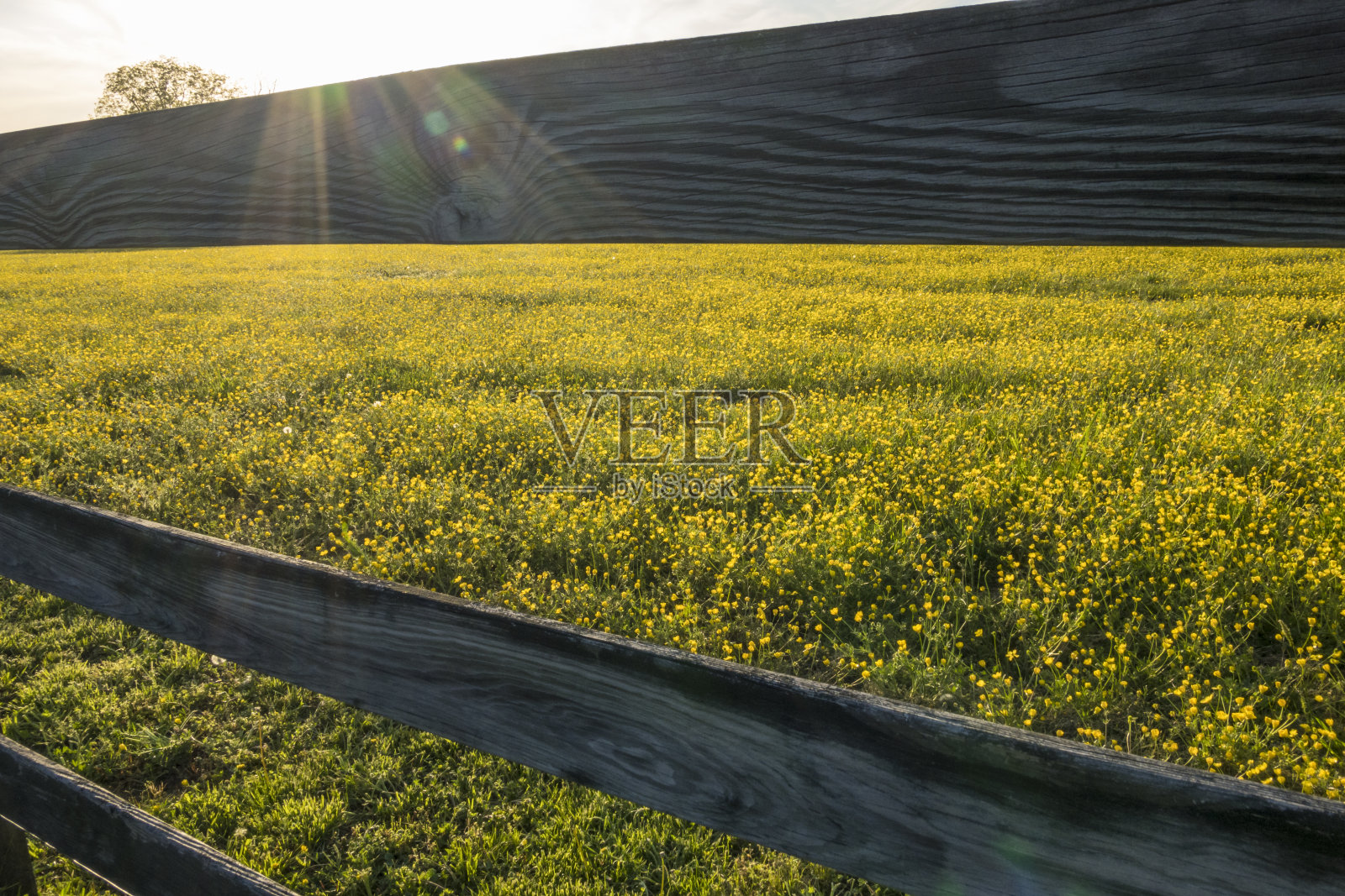 光之山钻石市场照片摄影图片