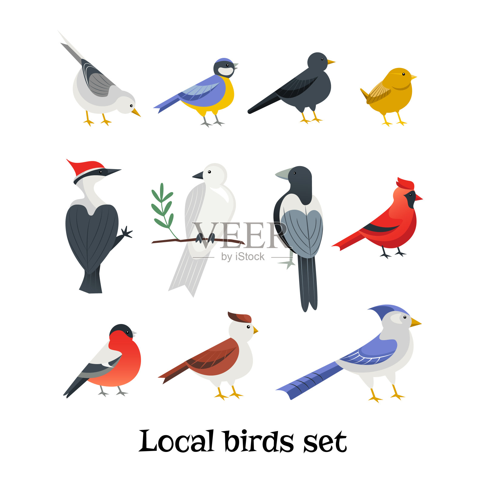 设置与鸟类设计元素图片