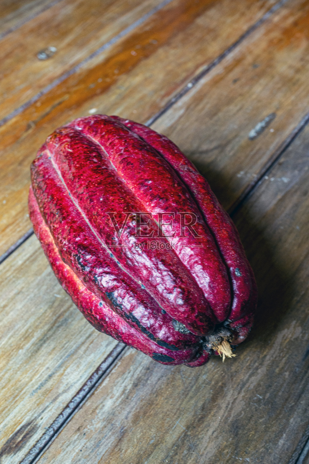 可可果照片摄影图片