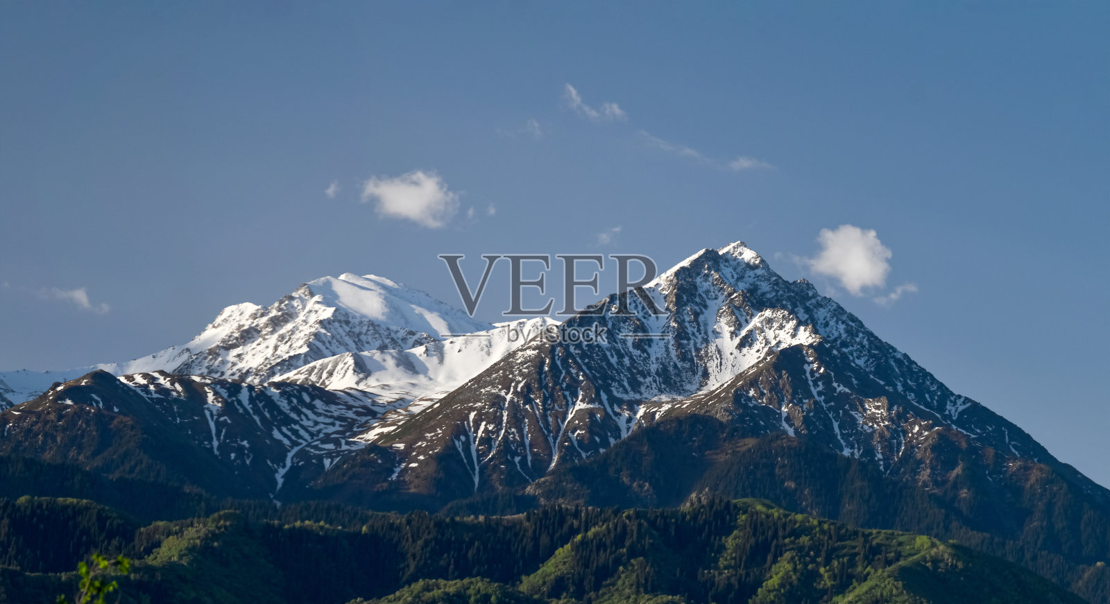 全景拍摄白雪覆盖和绿色森林山(夏天，春天)。Qazaqstan,哈萨克斯坦阿拉木图照片摄影图片