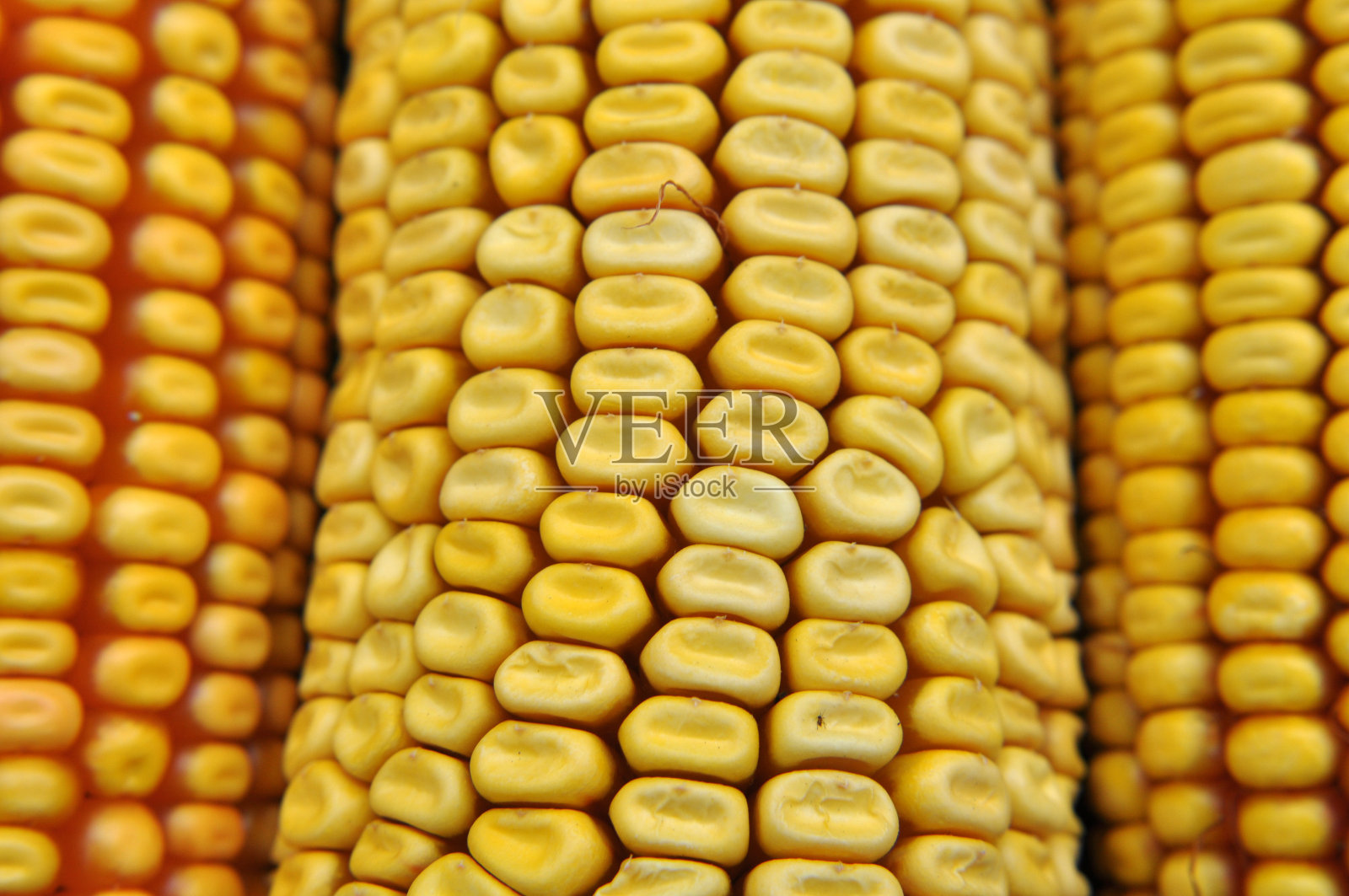 玉米穗轴特写镜头照片摄影图片