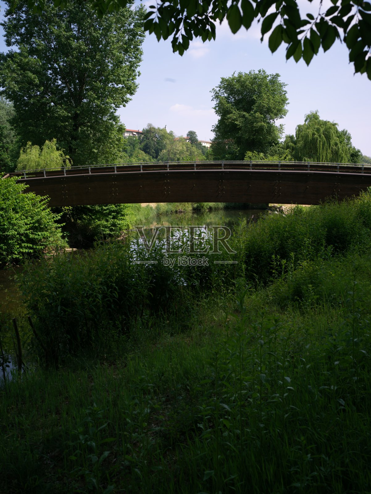 公园里的桥照片摄影图片