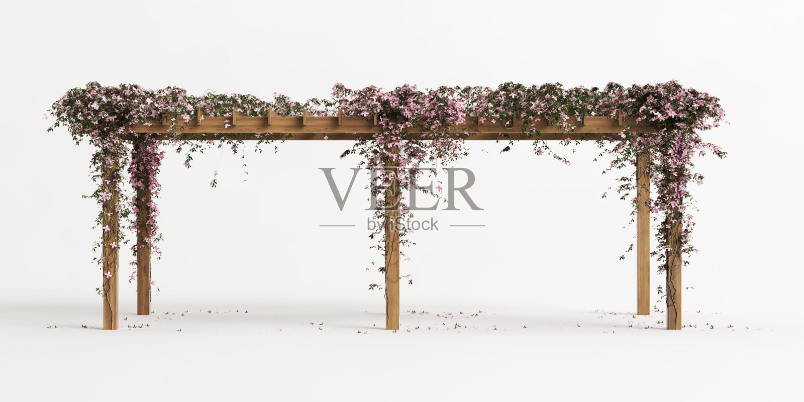 3d插图木框架与粉红色的花孤立在白色背景照片摄影图片