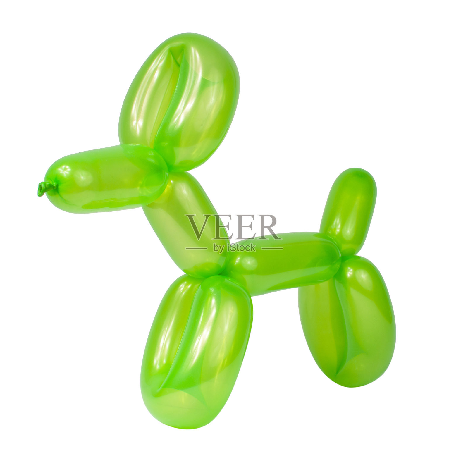 绿色气球狗模型派对乐趣孤立在白色背景照片摄影图片