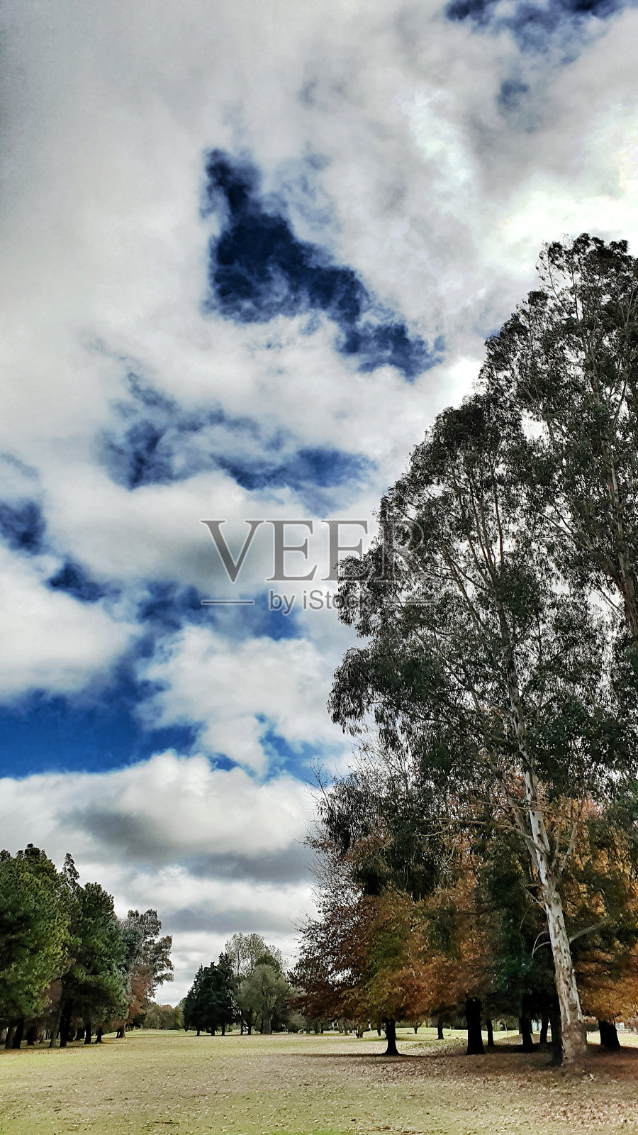 五月的高天照片摄影图片