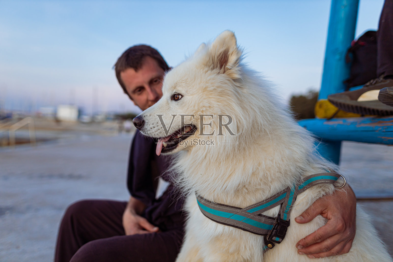 男人拥抱他的狗照片摄影图片