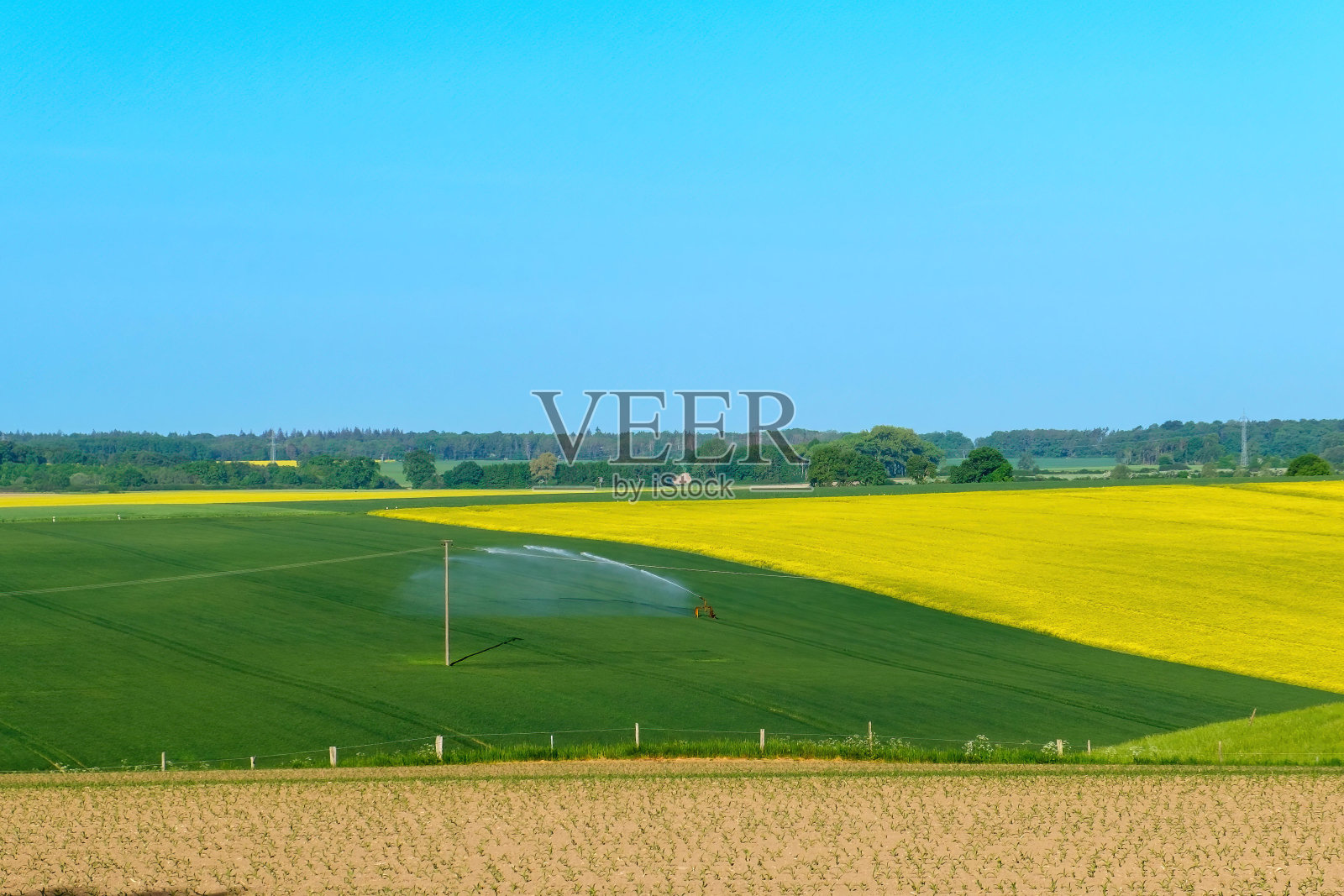 灌溉系统在农业植物中的作用照片摄影图片