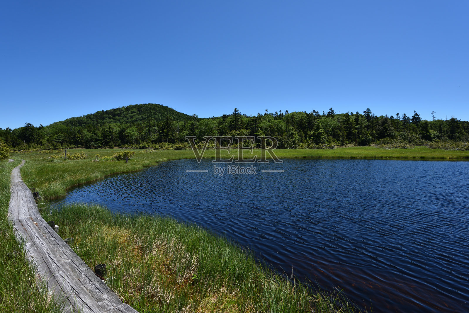 在高海拔的湿地中有许多湖泊照片摄影图片