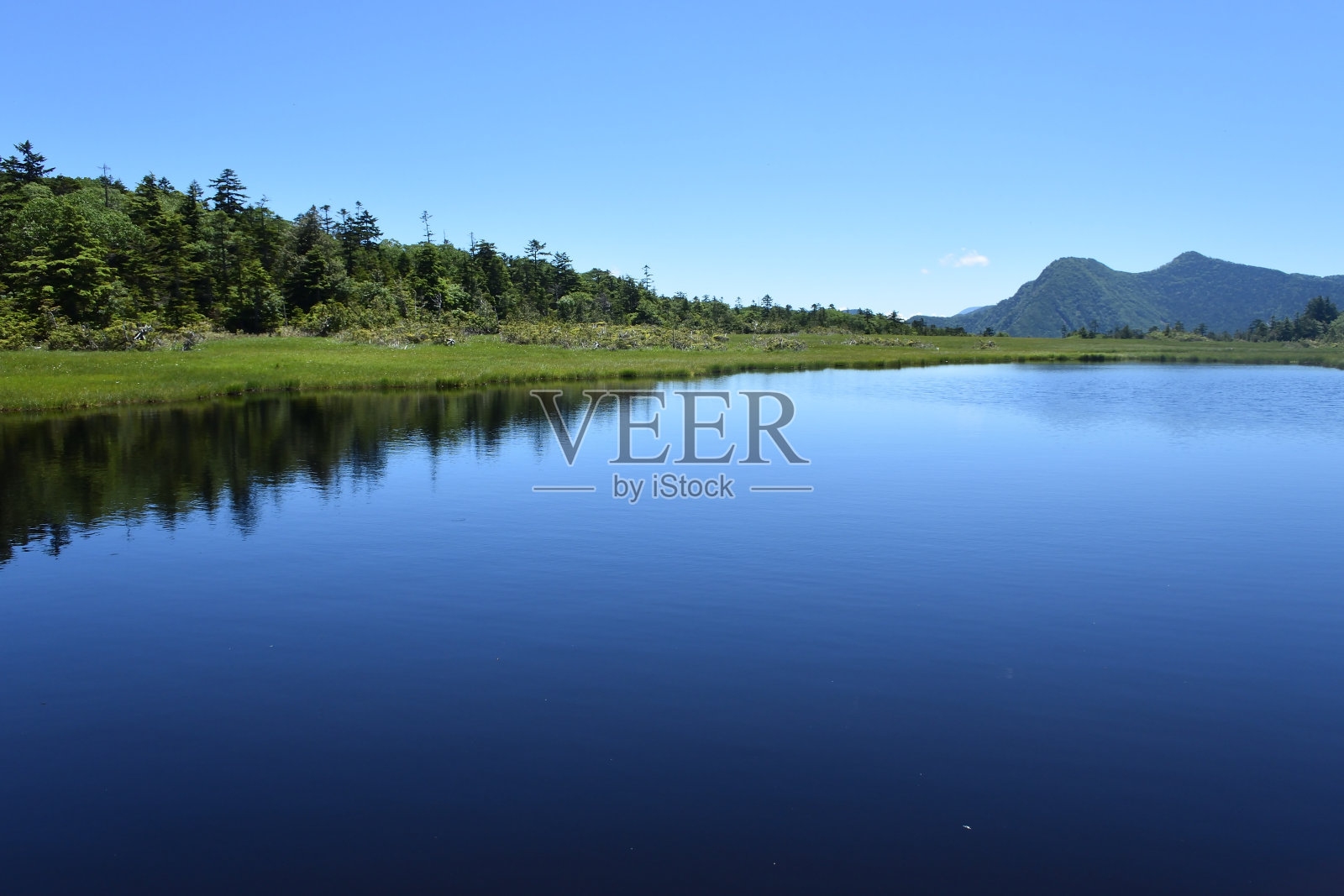 在高海拔的湿地中有许多湖泊照片摄影图片