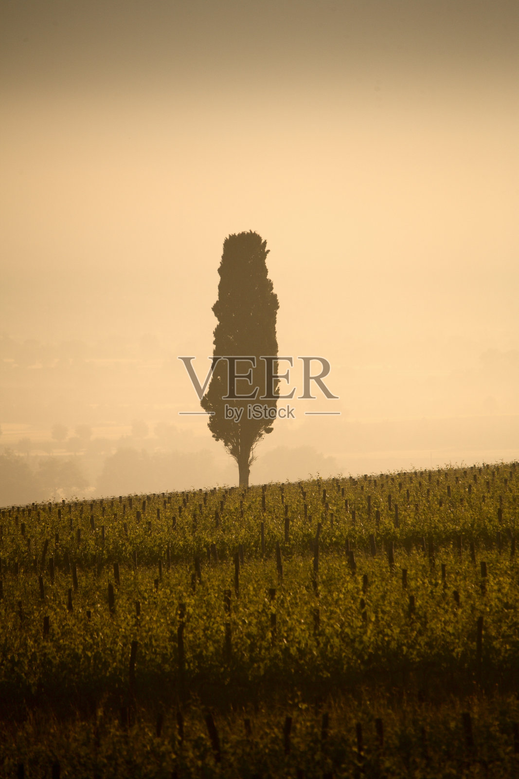 阿雷佐奇亚纳瓦尔的黎明景色。意大利照片摄影图片