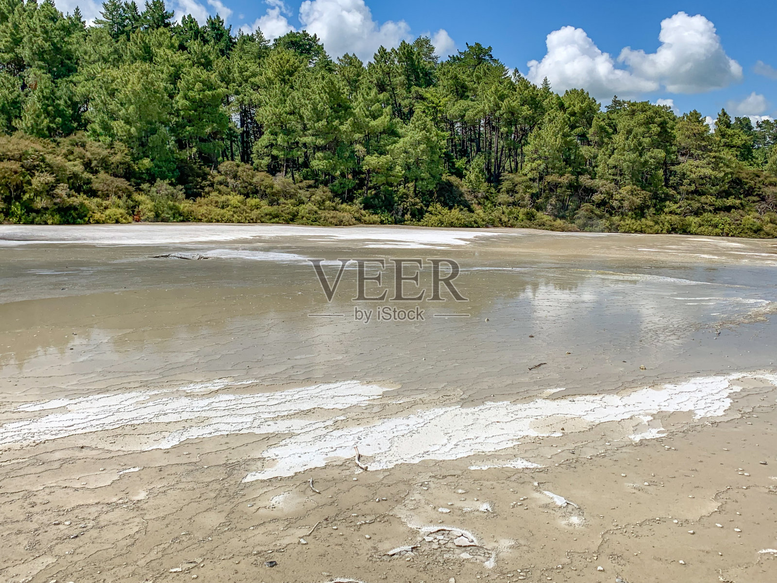 新西兰罗托鲁瓦waio - tapu公园的绿松石香槟池照片摄影图片