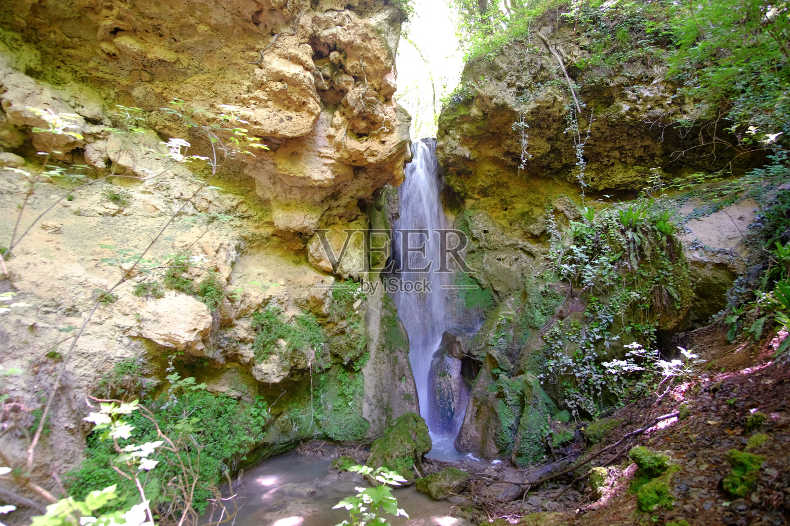 森林里的小瀑布照片摄影图片