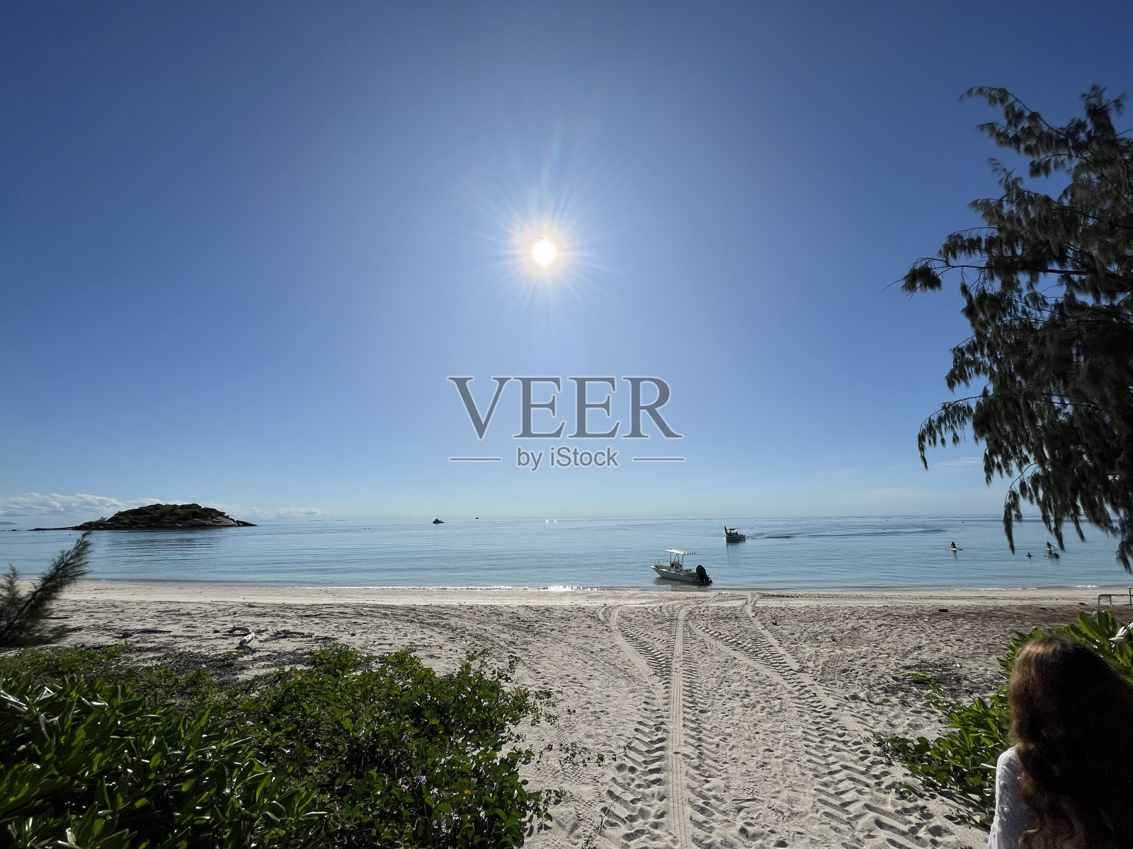 蜥蜴岛照片摄影图片